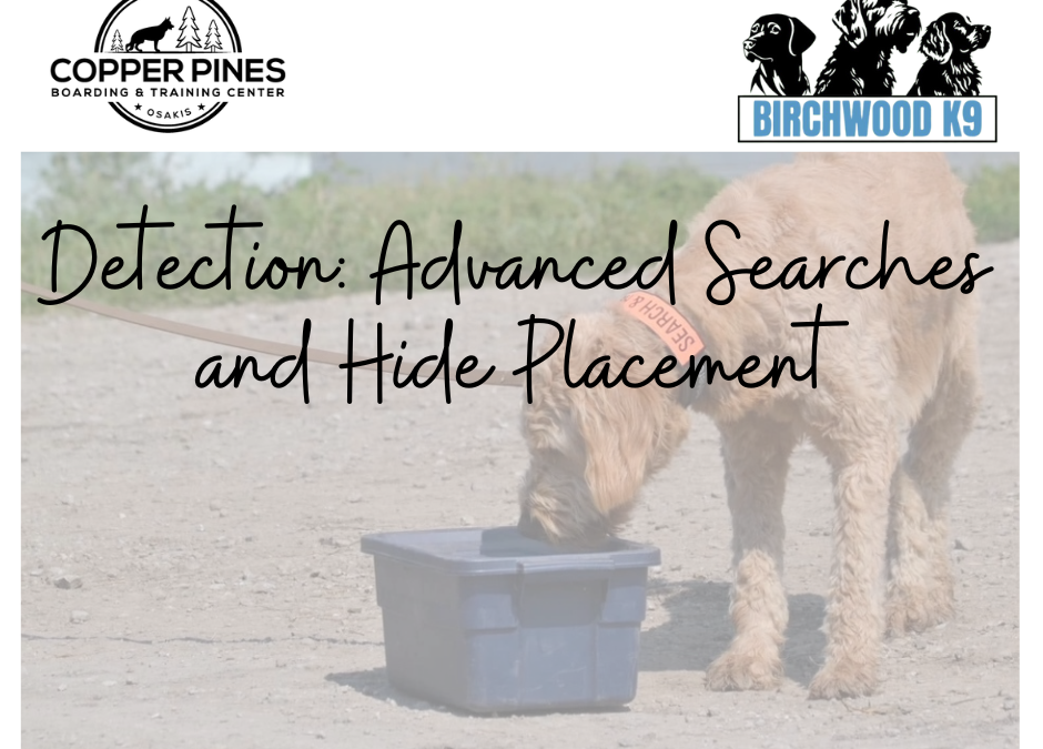 detection classes